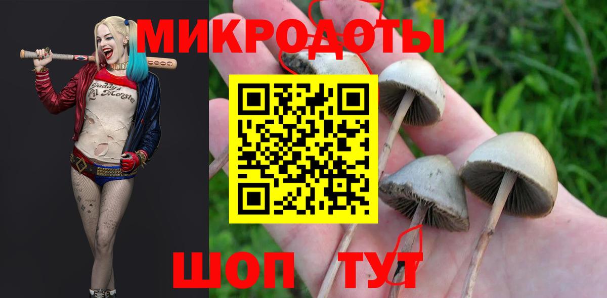 Псилоцибиновые грибы Magic Shrooms  Вход с VPN  что такое   Псилоцибиновые грибы Cubensis  Надым 